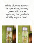 Color-changing floral cold brew bottle with text describing its features.